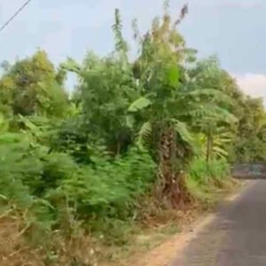 Land for Lease Near jimbaran Beach