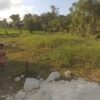 Land for Lease in Padonan, Badung - Image 2